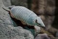 _DSC0336