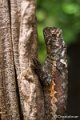 _DSC0409