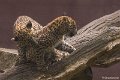 _DSC0163