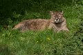 _DSC0192