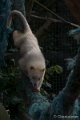 _DSC0331