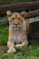 _DSC0355
