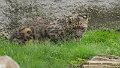 _DSC0638