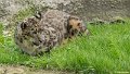 _DSC0664