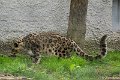 _DSC0688