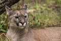 _DSC0700