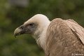 _DSC0048
