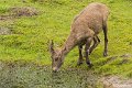 _DSC0050