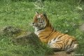 _DSC0154