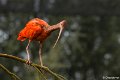 _DSC0187