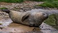 _DSC0206