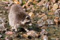 _DSC0224