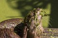 _DSC0253