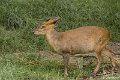 _DSC0359