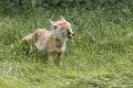 _DSC0376