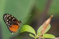 _DSC0027