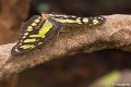 _DSC0032