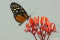 _DSC0078