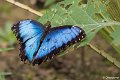 _DSC0096