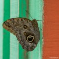 _DSC0156