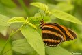 _DSC0164