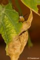 _DSC0176