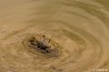 _DSC0192