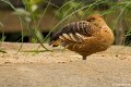 _DSC0257