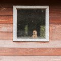 _DSC0007
