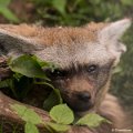 _DSC0008