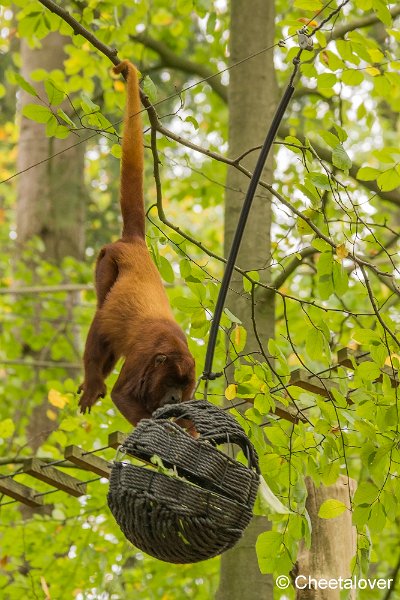 _DSC0294.JPG - Wolaap