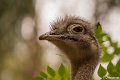 _DSC0025
