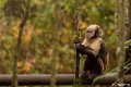 _DSC0026