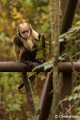 _DSC0031