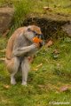_DSC0099