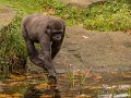 _DSC0118