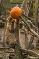 _DSC0197
