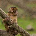 _DSC0207