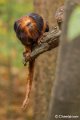 _DSC0270