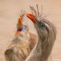 _DSC0359