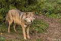 _DSC0175