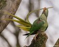 _DSC0190