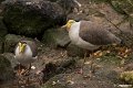 _DSC0195