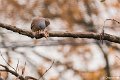 _DSC0243