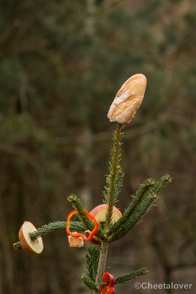 _DSC0060.JPG - Kerstdiner
