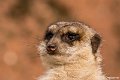_DSC0021