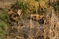 _DSC0035