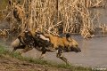 _DSC0047