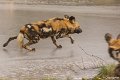 _DSC0051