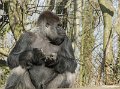 _DSC0167